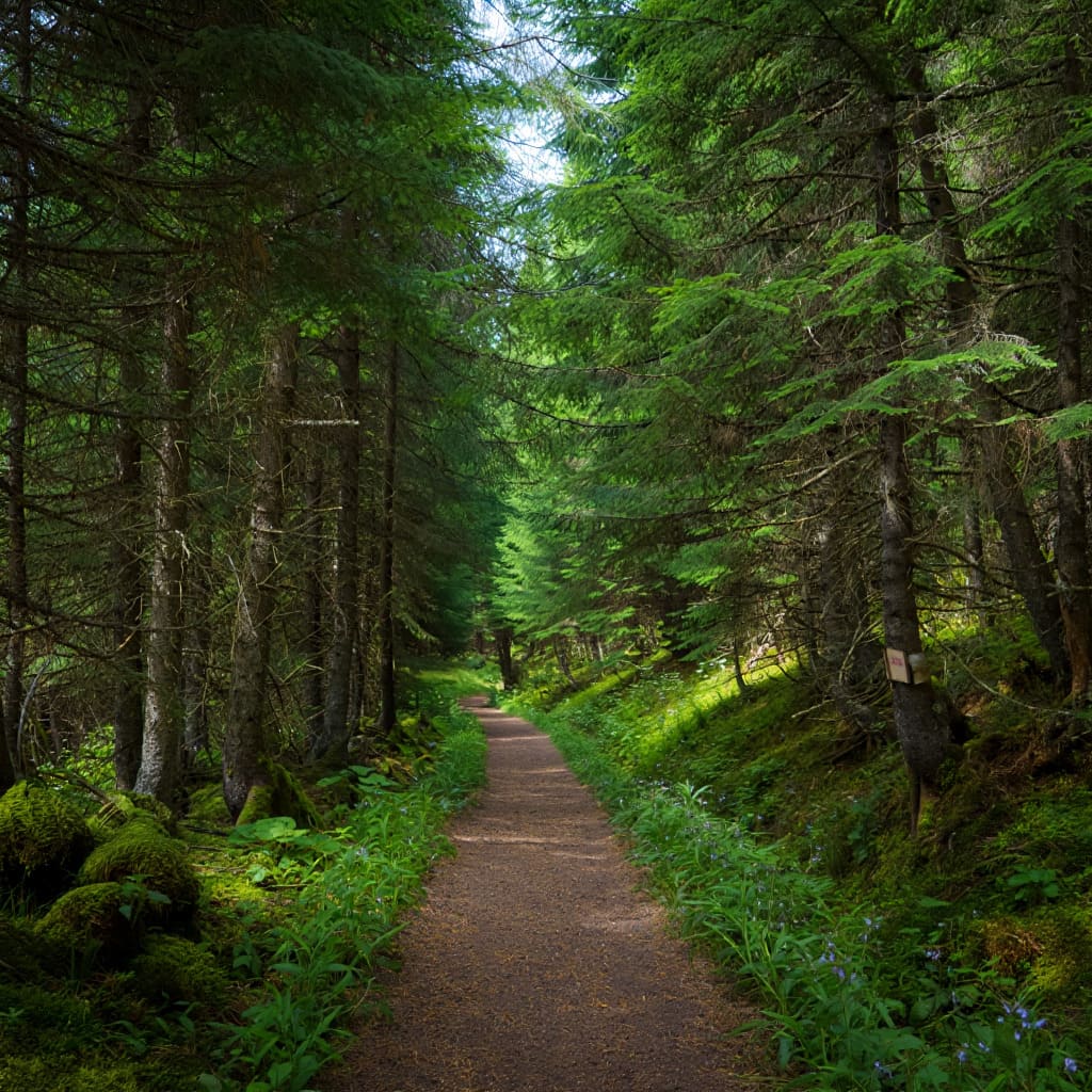 Environmental responsibility